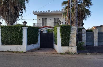 Patras Palm Tree - Foto 14