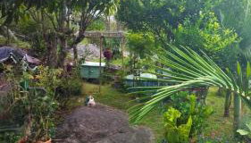 Casa Inteira em Jurerê In e vista panorâmica - Foto 4, Garden