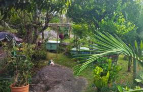 Casa Inteira em Jurerê In e vista panorâmica - Foto 4