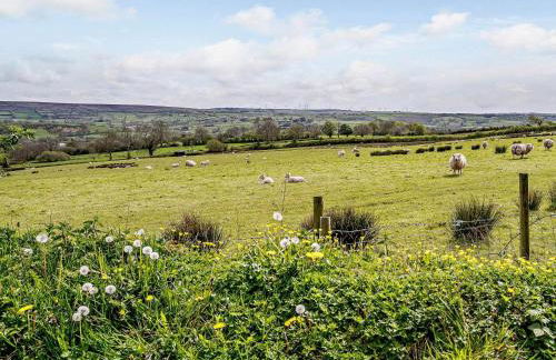 2 Bed in Llanybydder oc-81353 - Photo 24