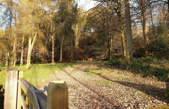 Larch Cottage - Foto 18