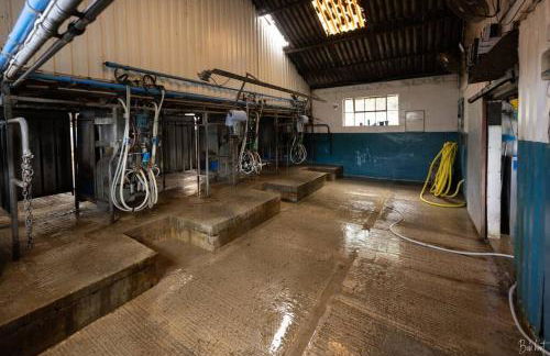 Shepherds Huts Tansy & Ethel in rural Sussex - Foto 29