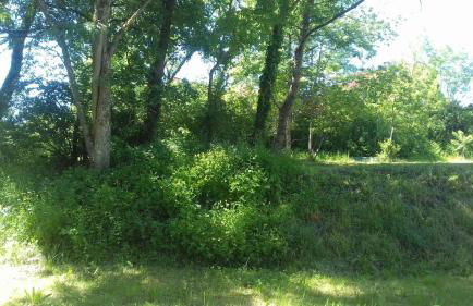 Ferienwohnung Ameis - Foto 10