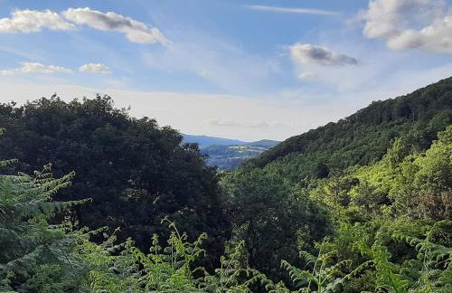 Ty Carreg Bach - Foto 7