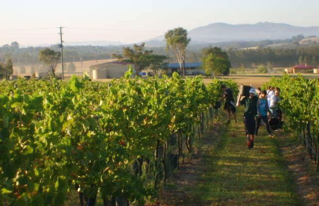 Broken View Estate - Foto 11