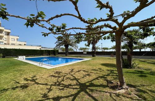 Marina Park Roses - Foto 20