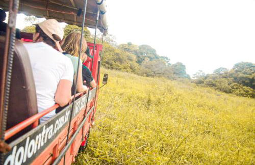 Pousada São João - Estrada Parque Pantanal - Photo 26