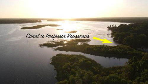 Professor Rousseau's Tiki Hideaway - Foto 5