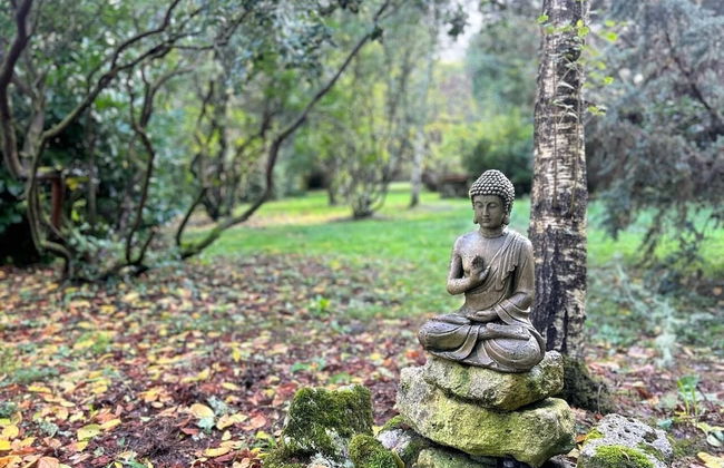 BERGERIE DE L OCEAN - Foto 22