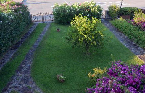 Casa Smeralda - Foto 30