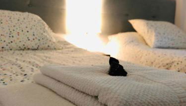 Duplex Archidona Centro - Foto 4