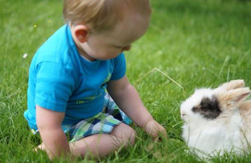 Veiter-Hof - Foto 59