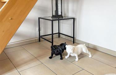 Ferienwohnungen Elbjuwel - Foto 15