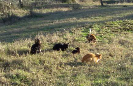 Monolocale di Meo - Foto 37