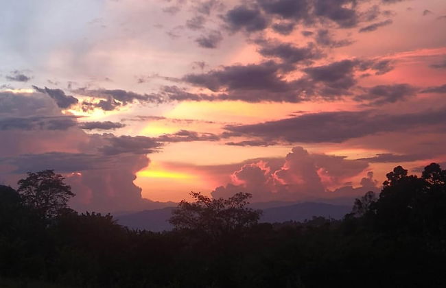 Entre Guaduas - Photo 37