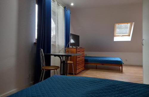 Mroczkówka - Foto 31