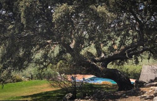 Finca El Almendrillo - Foto 11