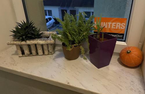 Eldom-NOCLEGI, Kolejowa 15 Wągrowiec - Foto 54