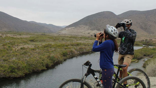 Observando aves durante el tour en bicicleta por el humedal