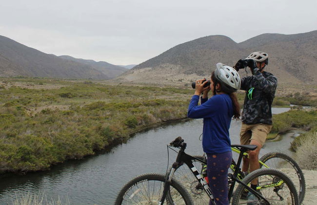 Limarí River Wetlands Bike Tour - Photo 2