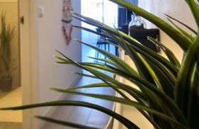 524 Ocean Dreams Las Americas - Foto 22