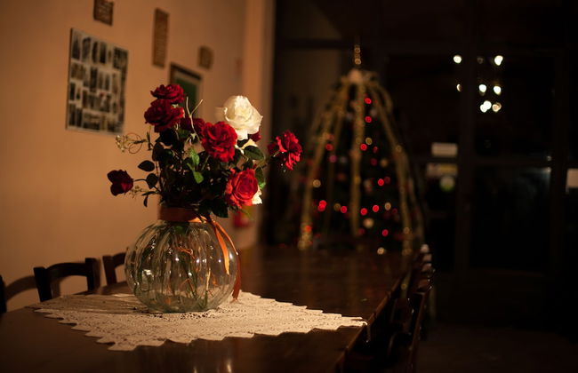 Agriturismo Il Brugnolo - Foto 45