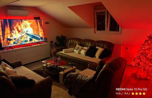 Apartman Mali raj - Foto 19