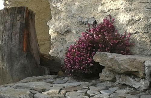 Casa Vacanze Roncaiola - Foto 42