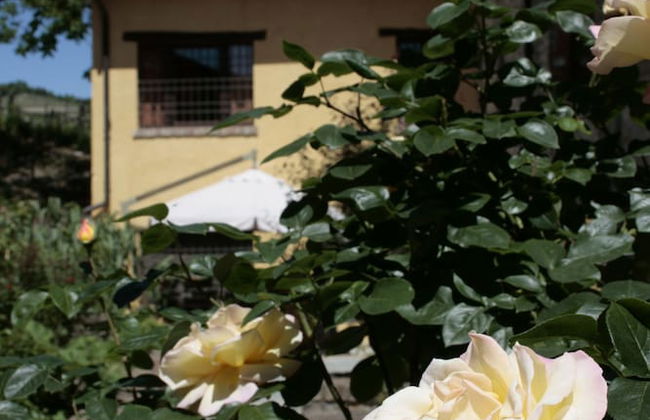 Agriturismo Tenuta Antica - Photo 56