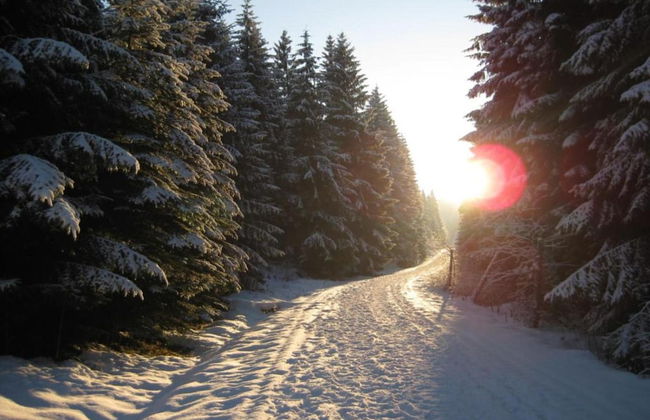 Cozy Ore Mountain Chalet - Foto 31