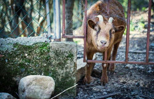 Cottage Eco-Friendly Barcelona country side - Foto 43