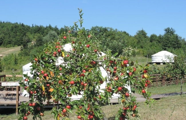 Società Agricola Cacigolara - Foto 47