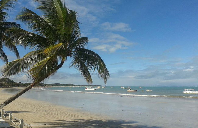 Excursion à Maragogi - Photo 7