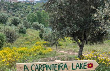 A Carpinteira Lake House - Foto 35