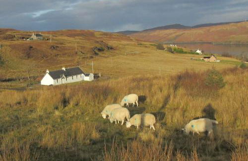 The Old School House - Foto 13