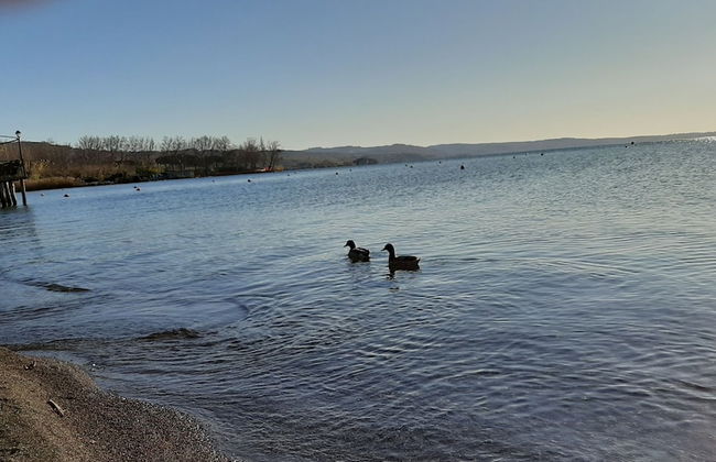 Blue House Near Bagnoregio-overlooking the Umbrian Mountains and Tiber Valley - Photo 33