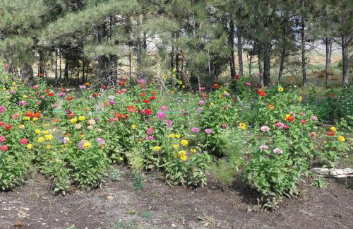 Quiet Newcastle Apartment with Step-Free Access - Foto 20