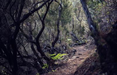 AD Alberto Dorner - Modern - Foto 29