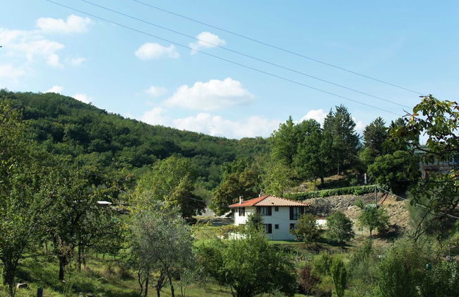 Holiday Home in Vicchio With Private Pool - Foto 31