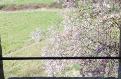 Casa Can Boix - Foto 41