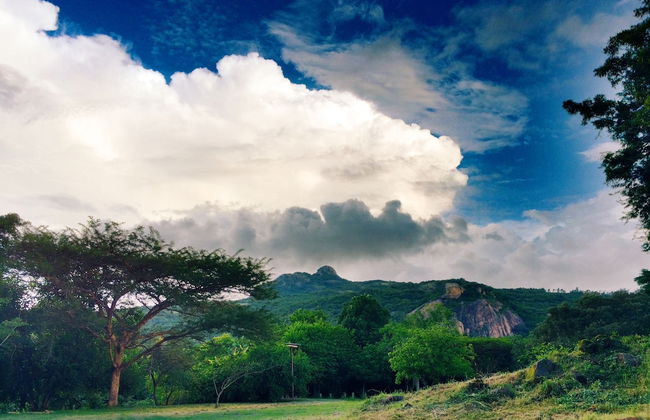 Near2Numbi - Foto 75