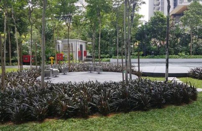 The Hub SS2 by manatidur - Foto 2