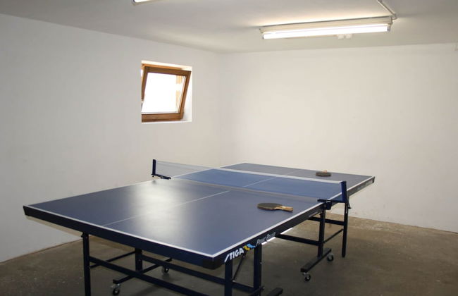 Quaint Mansion Near ski bus in Goldegg - Photo 37