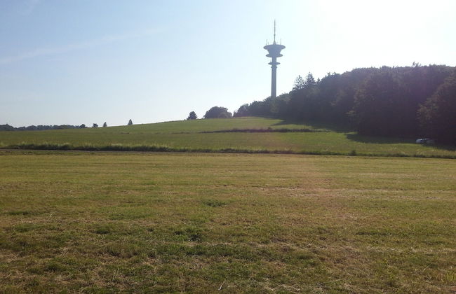 Dog-friendly Holiday Home in the Knull - Foto 12