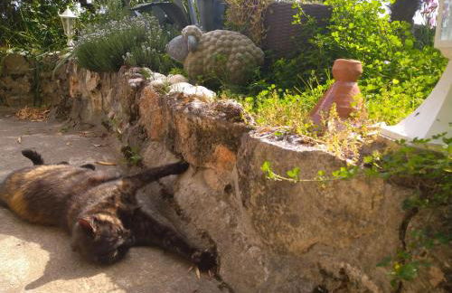 Le Gite de la Loire - Photo 31