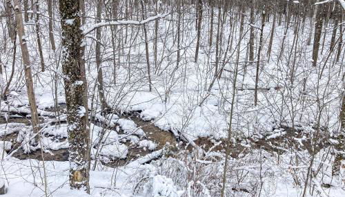 Timberbrook - Foto 3