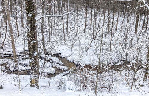 Timberbrook - Foto 3