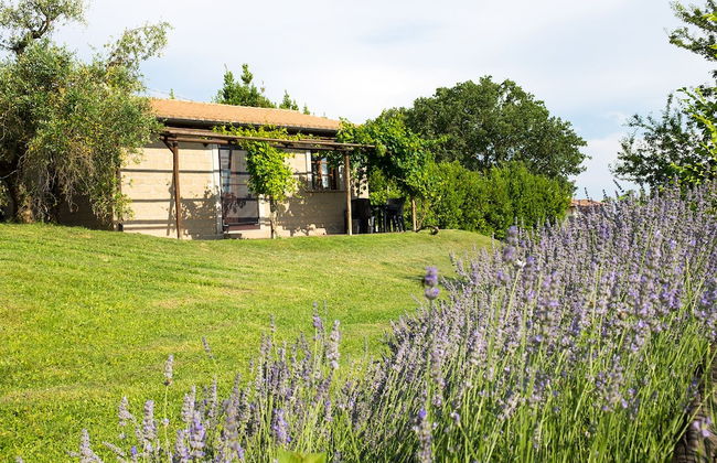 Il Poggio Dell'Artilla - Foto 17