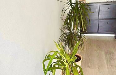 KS near the airport - Foto 80