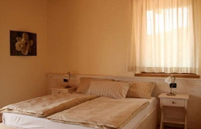 Maso Fiorini - Photo 8